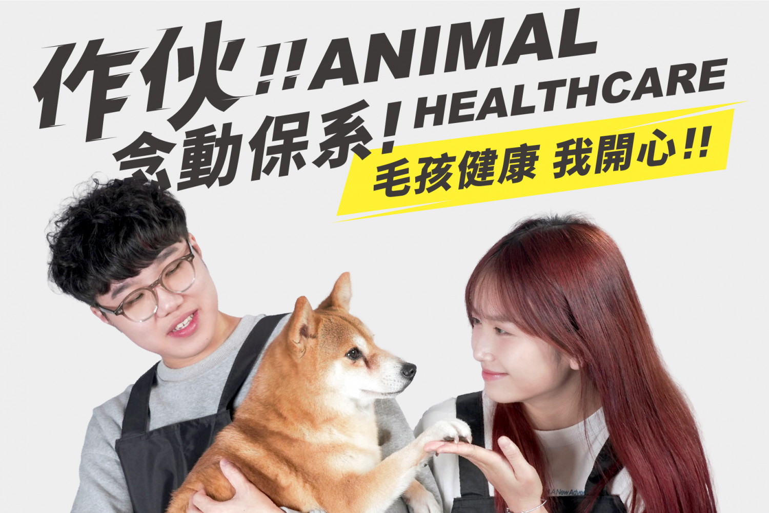 公告用形象照